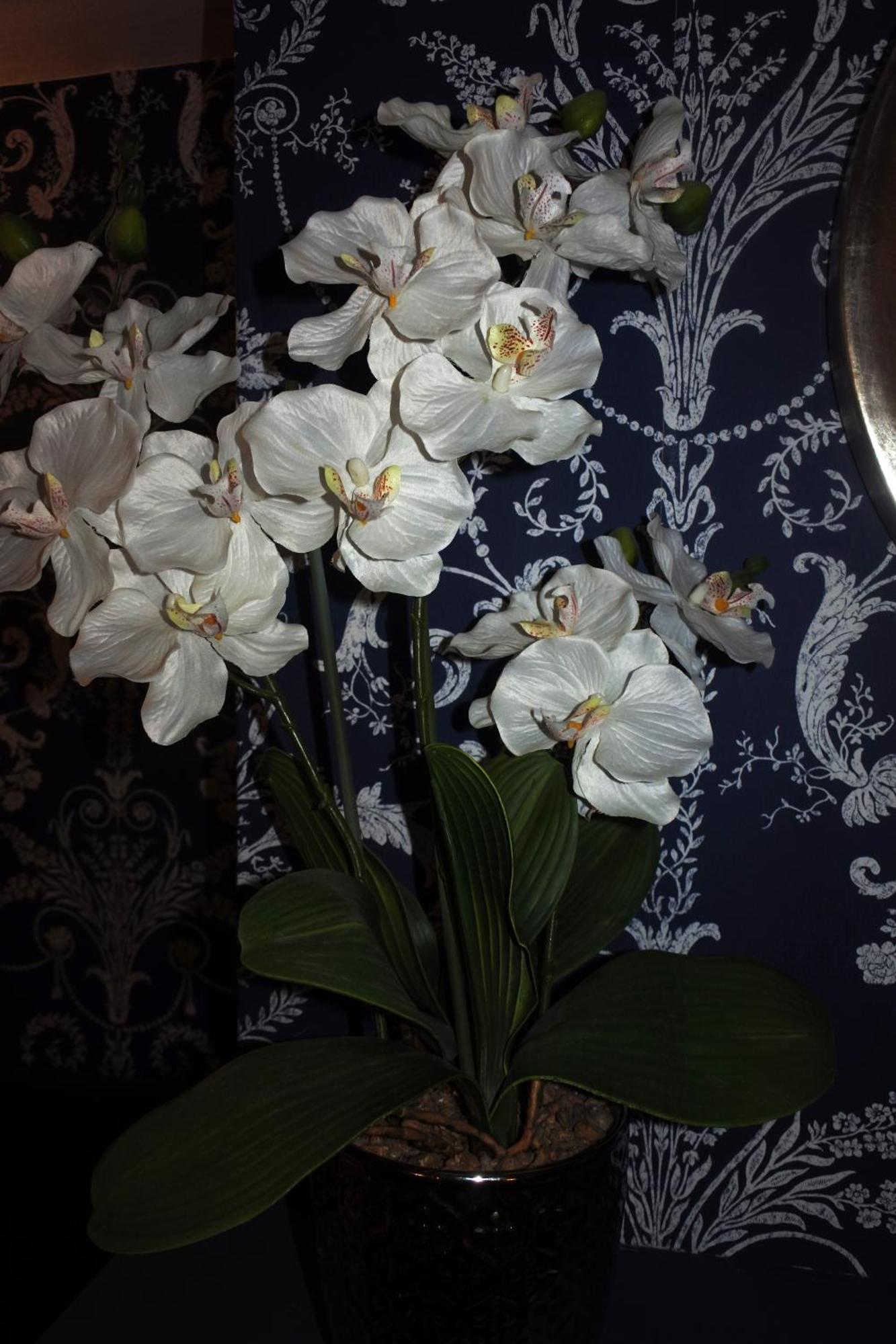 Magpies Restaurant With Rooms هورنكاستيل المظهر الخارجي الصورة